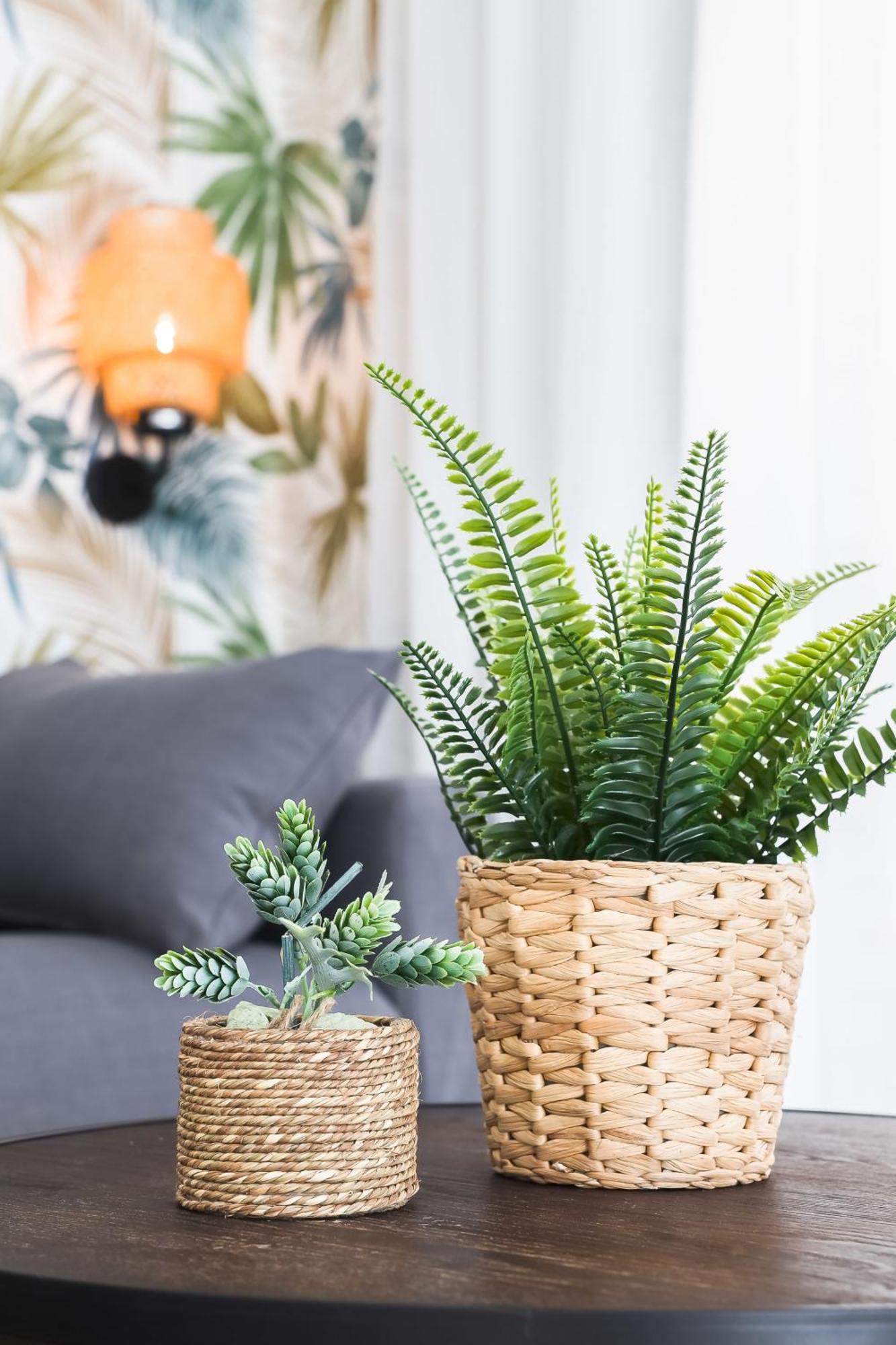 Apartamento Palermo Living Suites En Burriana Exteriör bild